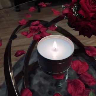 Relighting That Old Spark: RELIT CANDLES